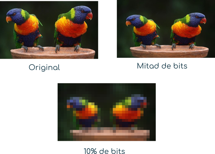 Pantalla de celular con cámara